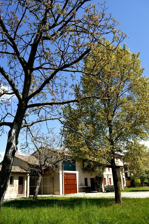 Agriturismo Ca Roer San Zenone ภายนอก รูปภาพ